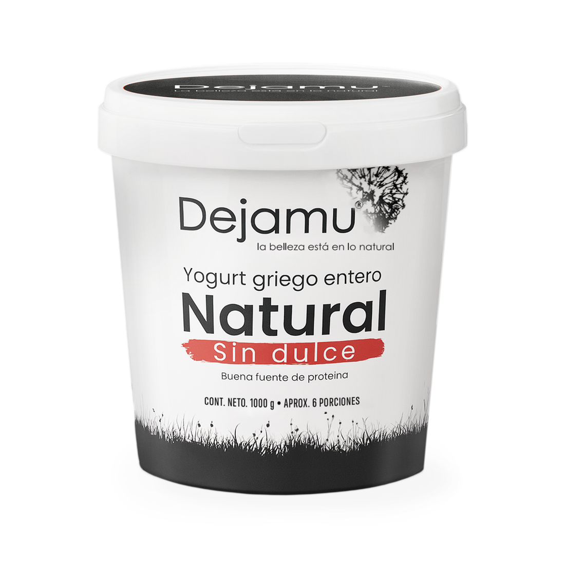Yogurt griego sin dulce